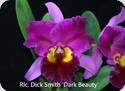 Rlc. Dick Smith Dark Beauty